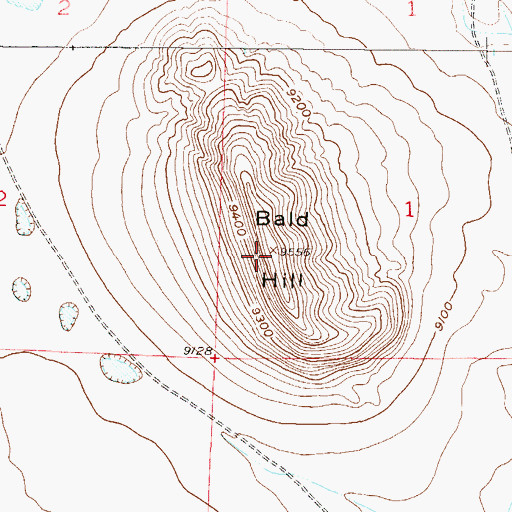 Topographic Map of Bald Hill, CO