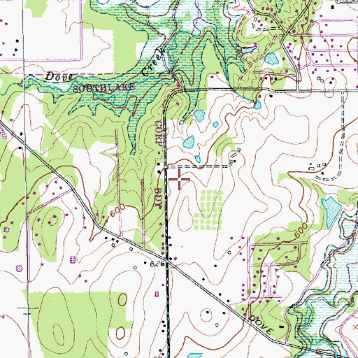 Topographic Map of Pickering Park, TX