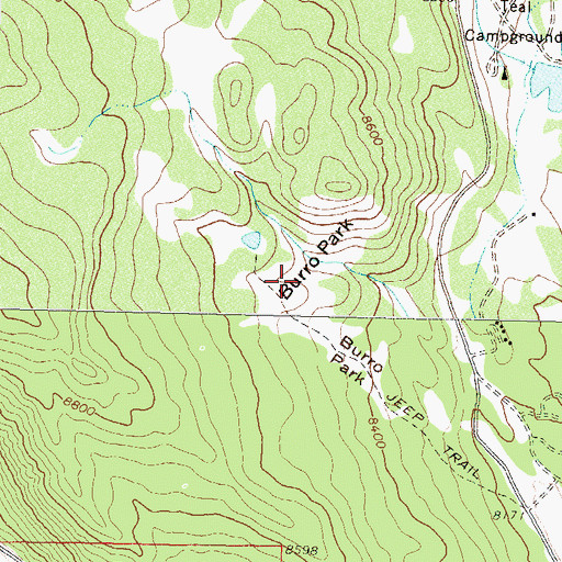 Topographic Map of Burro Park, CO