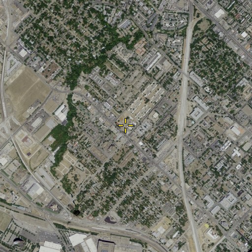 Aerial/Satellite Image of Maple Park, TX