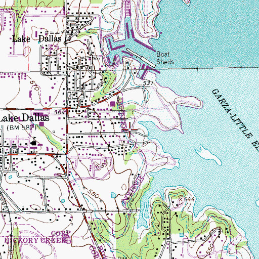 Topographic Map of Willow Park Grove, TX