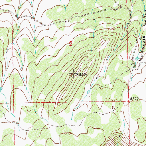 Topographic Map of Pion Mesa, CO
