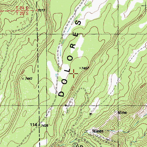 Topographic Map of Dolores Point, CO
