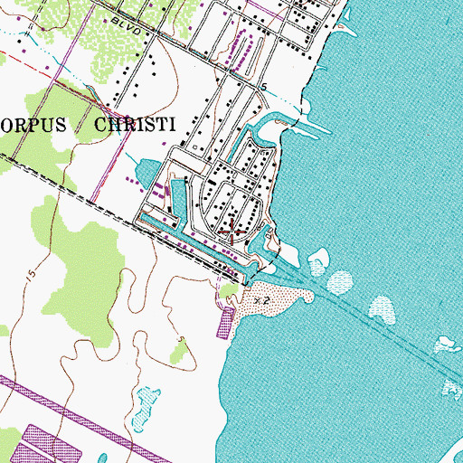 Topographic Map of Bluff Landing Marina, TX