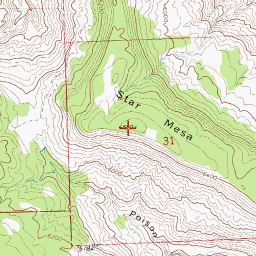 Topographic Map of Star Mesa, CO