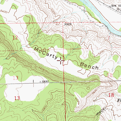 Topographic Map of McCarty Bench, CO