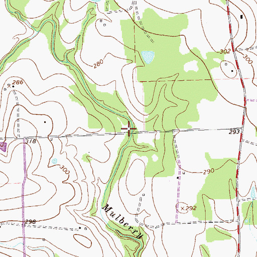 Topographic Map of Mulberry Creek Bridge, TX