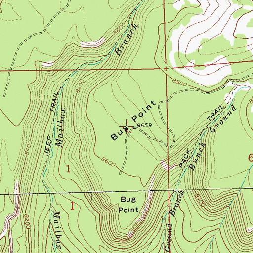 Topographic Map of Bug Point, CO