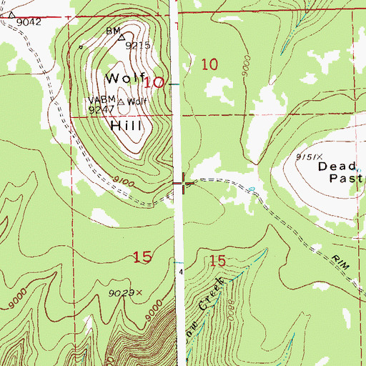 Topographic Map of Rim Trail, CO