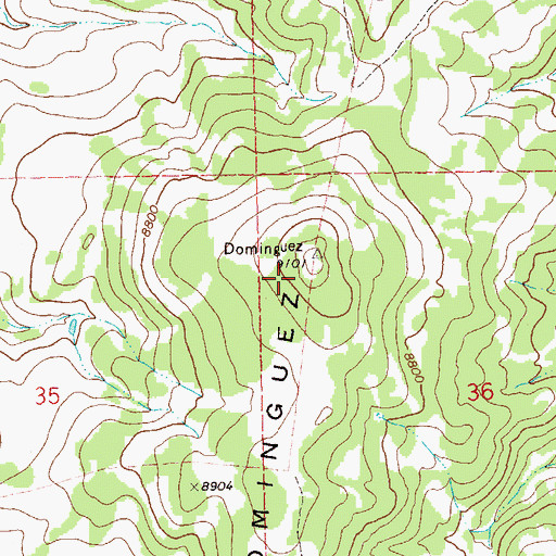 Topographic Map of Dominguez Ridge, CO