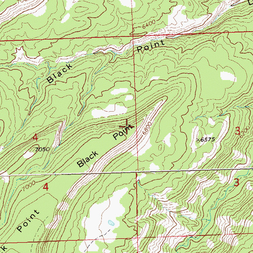 Topographic Map of Black Point, CO