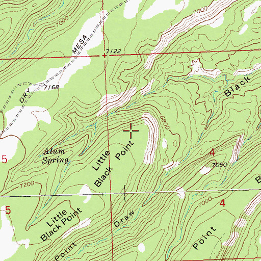 Topographic Map of Little Black Point, CO