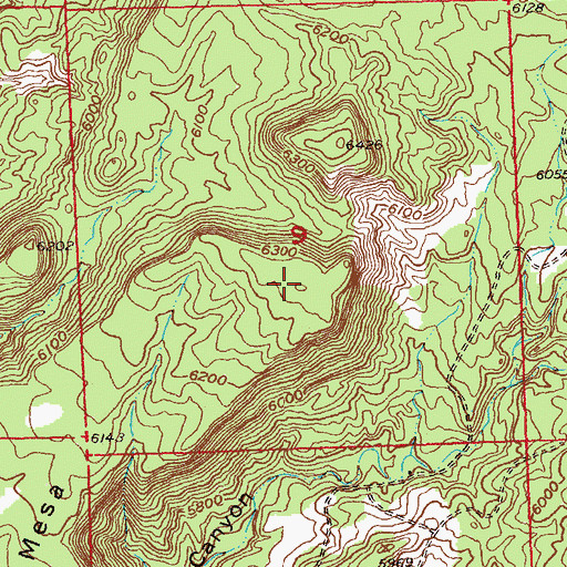 Topographic Map of Moon Mesa, CO