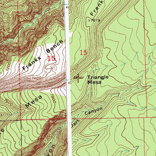 Topographic Map of Triangle Mesa, CO
