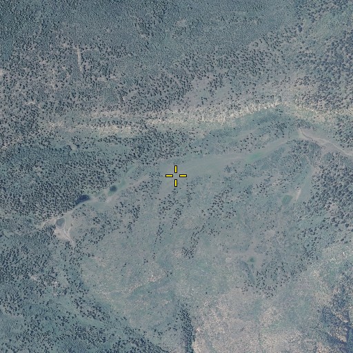 Aerial/Satellite Image of South Bench Trail, CO