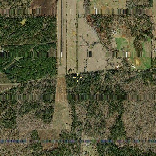 Aerial/Satellite Image of Captain Thomas William Blount House, TX