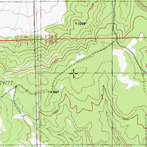 Topographic Map of Ray Mesa, UT