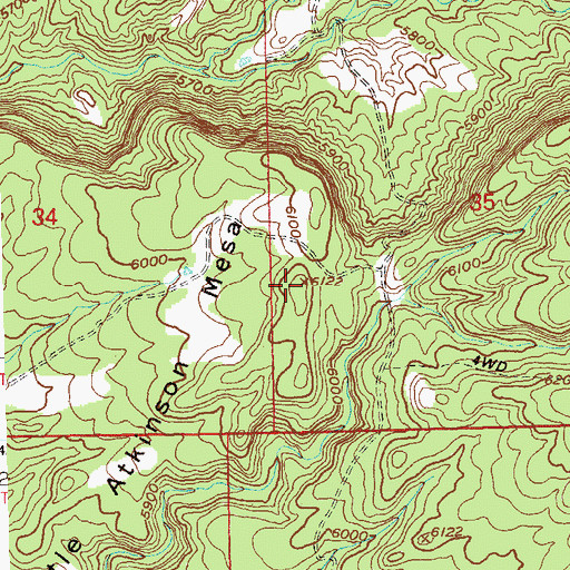 Topographic Map of Little Atkinson Mesa, CO
