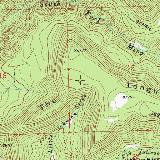 Topographic Map of The Tongue, CO