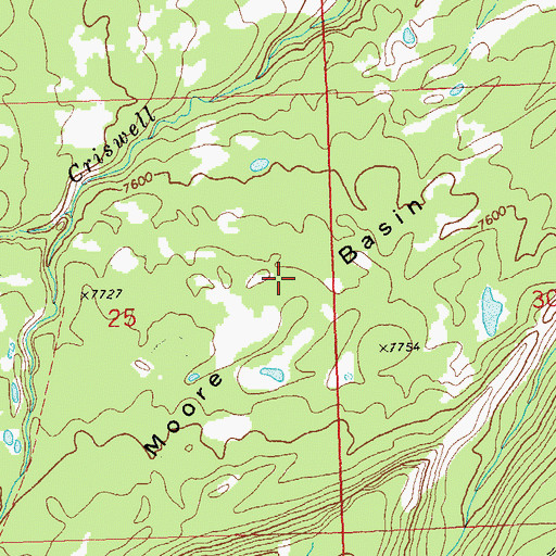 Topographic Map of Moore Basin, CO