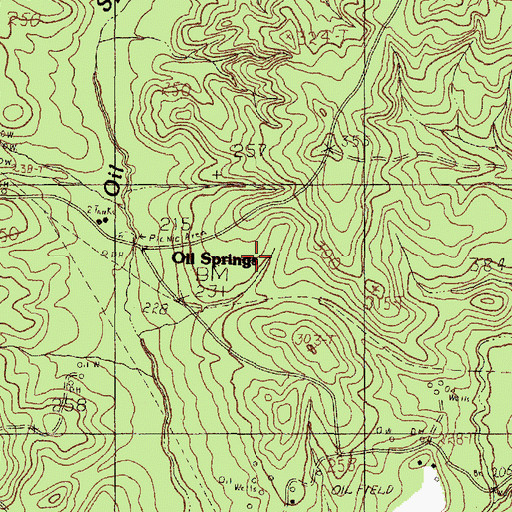 Topographic Map of Oil Springs Oil Field Discovery Well, TX