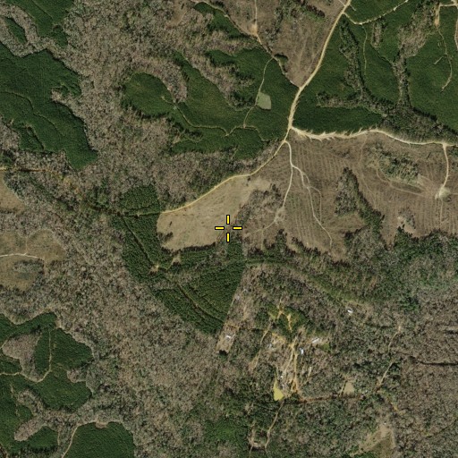 Aerial/Satellite Image of Oil Springs Oil Field Discovery Well, TX