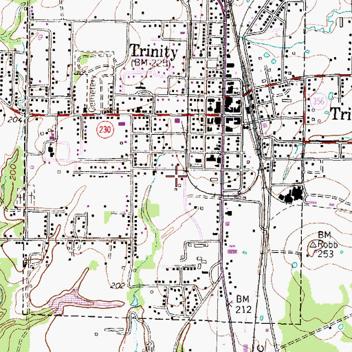 Topographic Map of Ranald McDonald House, TX