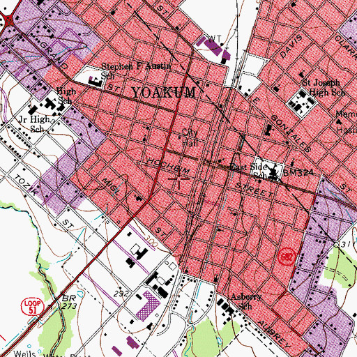 Topographic Map of Municipal Power Plant, TX