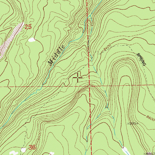 Topographic Map of Spring Creek Trail, CO
