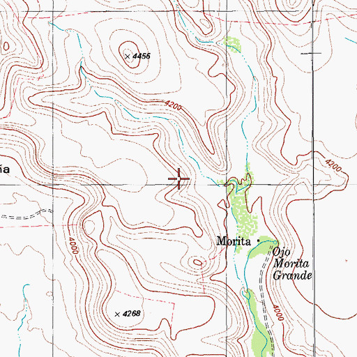 Topographic Map of La Morita Historic District, TX