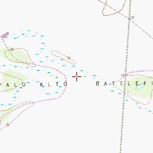 Topographic Map of Palo Alto Battlefield, TX