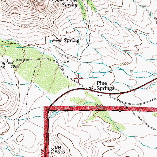 Topographic Map of Pinery Station, TX