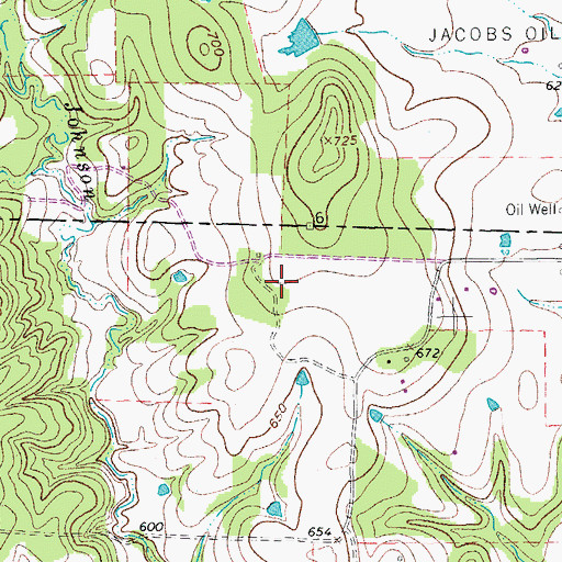 Topographic Map of Johnson Farm, TX