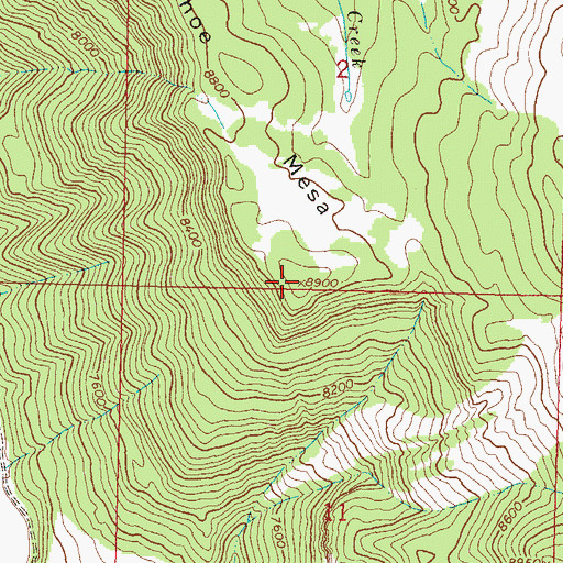 Topographic Map of Snowshoe Mesa, CO