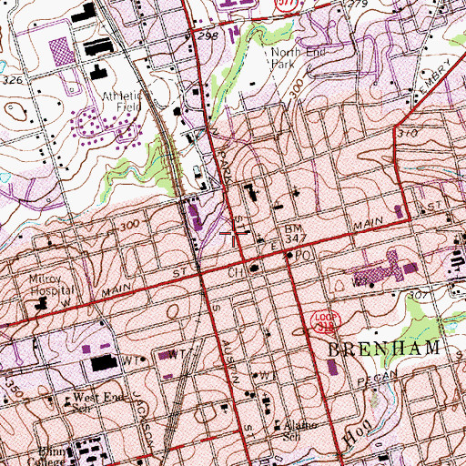 Topographic Map of Synagogue B'nai Abraham, TX