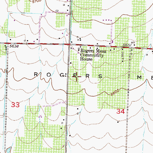 Topographic Map of Rogers Mesa, CO