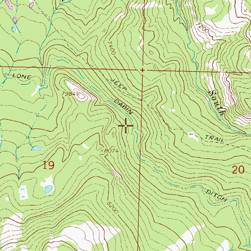 Topographic Map of Lone Cabin Ditch, CO