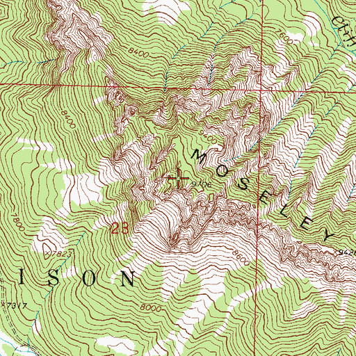 Topographic Map of Moseley Ridge, CO