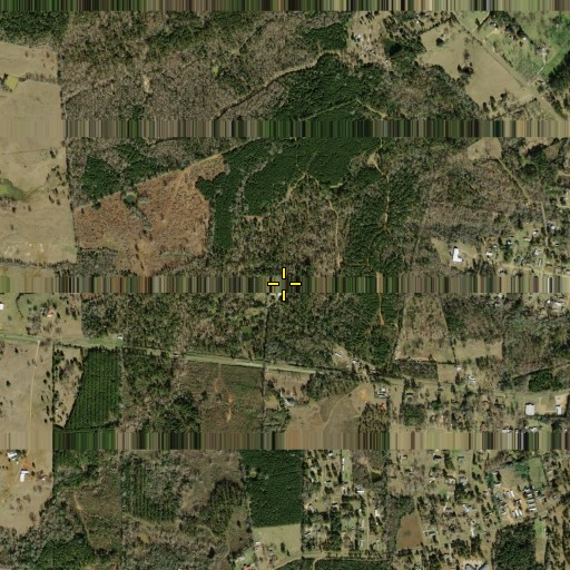 Aerial/Satellite Image of William Garrett Plantation House, TX