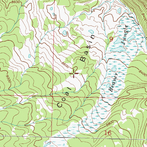 Topographic Map of Coal Basin, CO