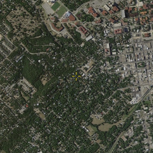 Aerial/Satellite Image of Smith House, TX