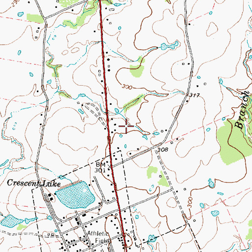 Topographic Map of Shapira Hotel, TX