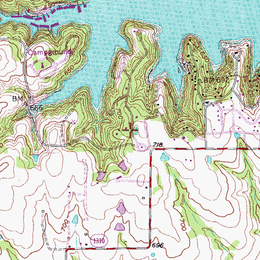 Topographic Map of Eisenhower State Park Trail, TX