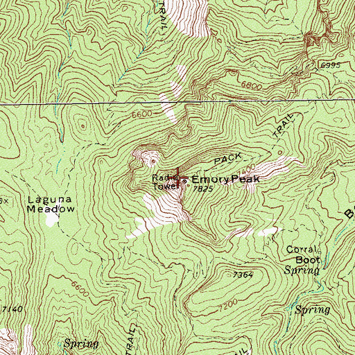 Topographic Map of Emory Peak Trail, TX