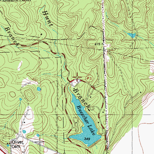 Topographic Map of Buescher State Park Hiking Trail, TX