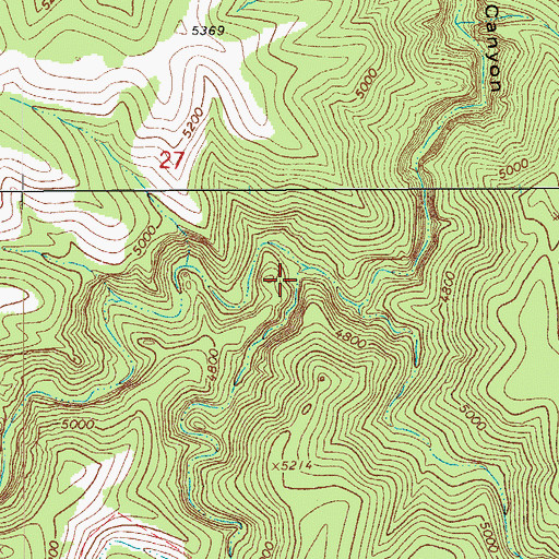 Topographic Map of Brushy Canyon, AZ