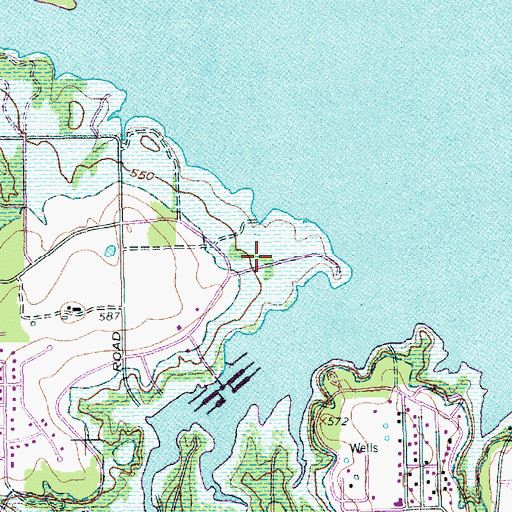 Topographic Map of Walnut Grove Trail, TX