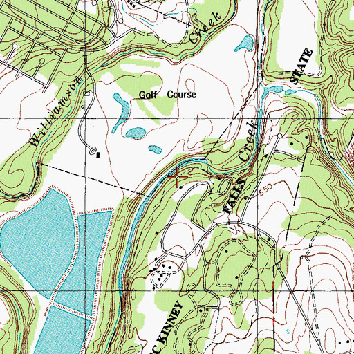 Topographic Map of Onion Creek Trail, TX