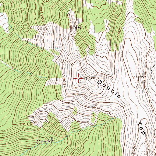 Topographic Map of Double Top, CO