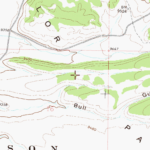 Topographic Map of Taylor Park, CO